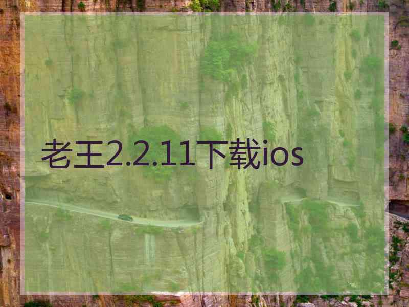 老王2.2.11下载ios