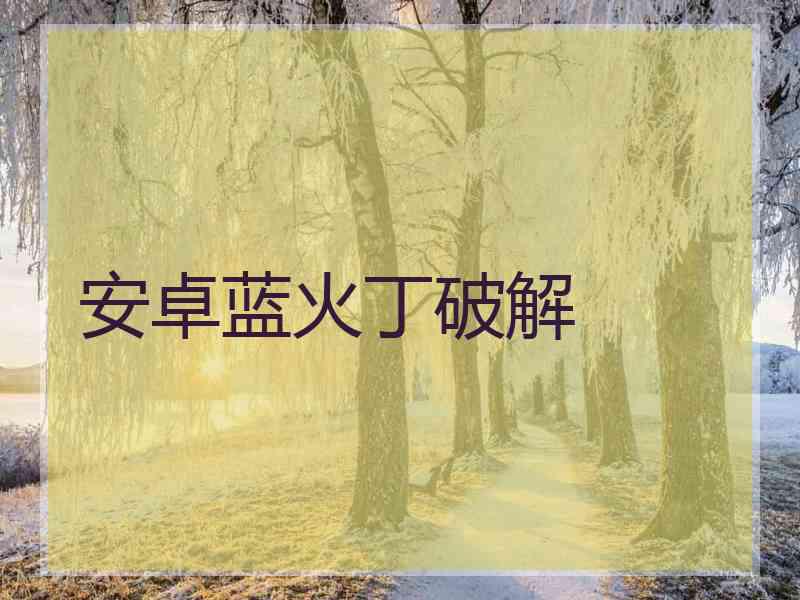 安卓蓝火丁破解
