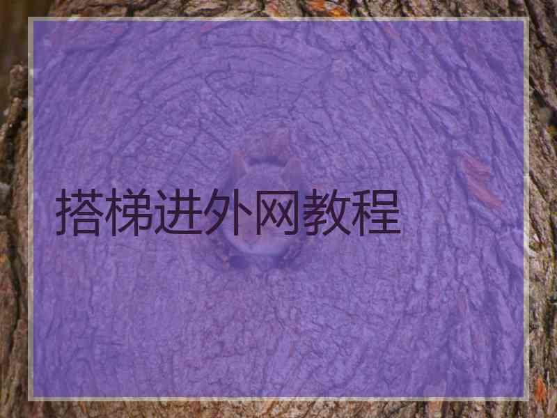 搭梯进外网教程