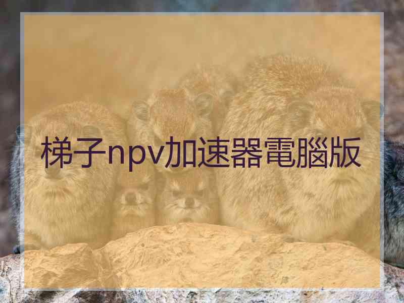 梯子npv加速器電腦版