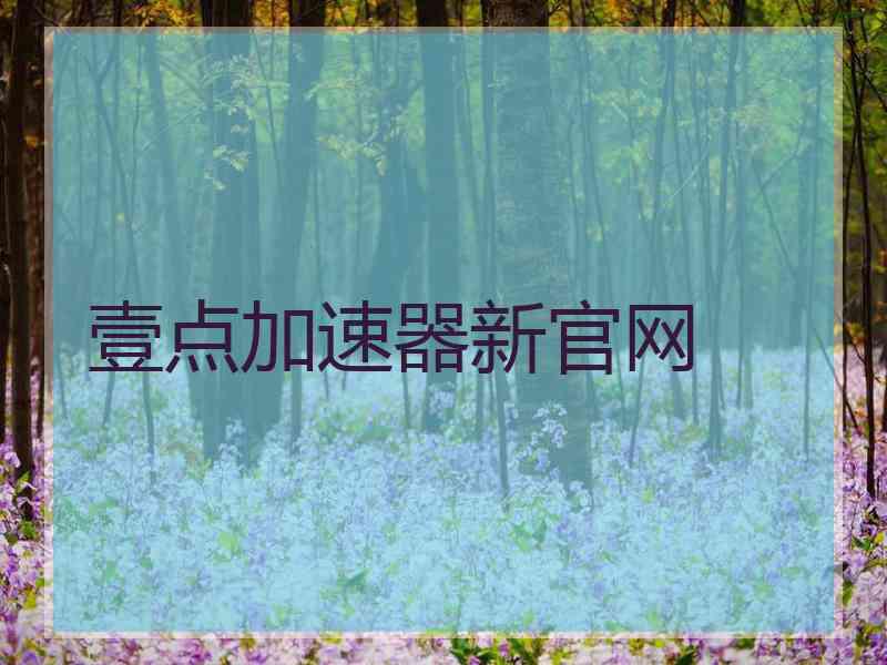 壹点加速器新官网