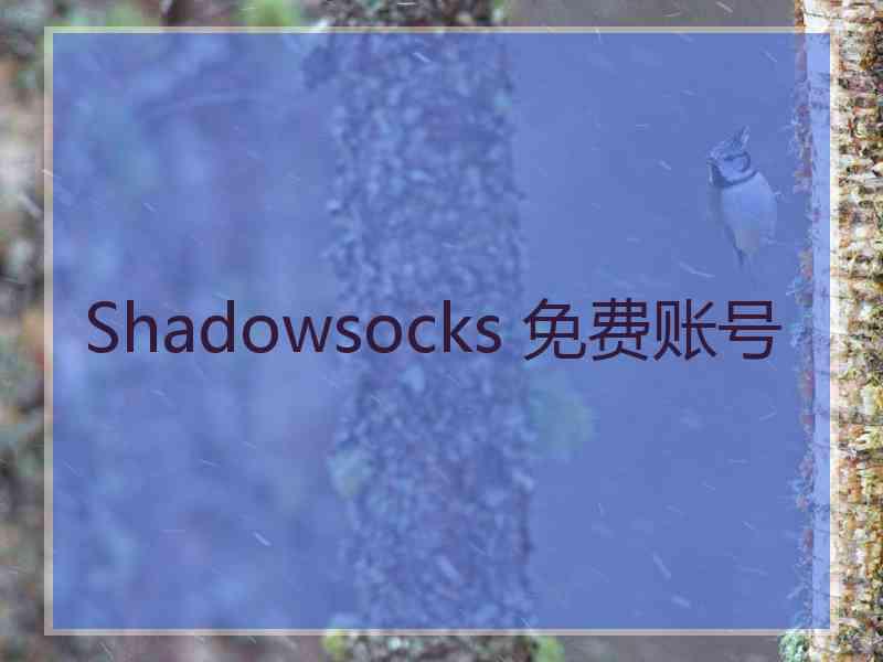 Shadowsocks 免费账号