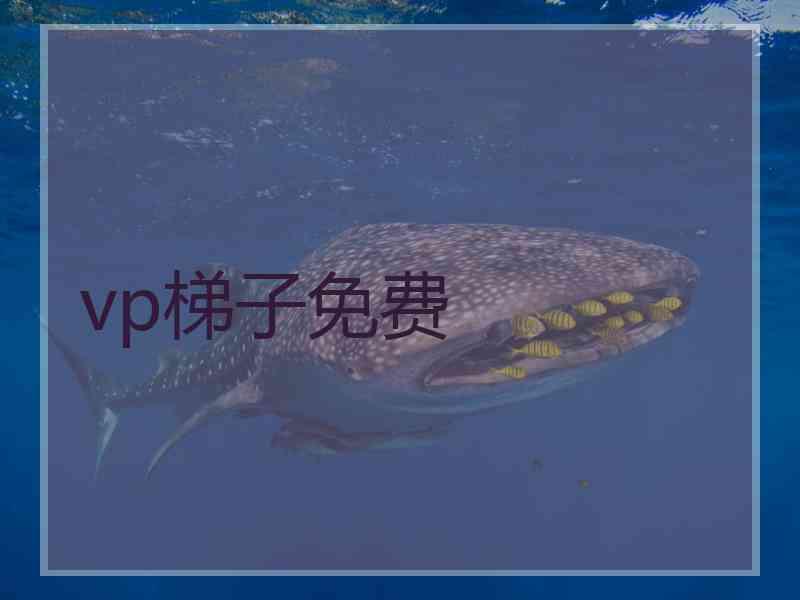 vp梯子免费