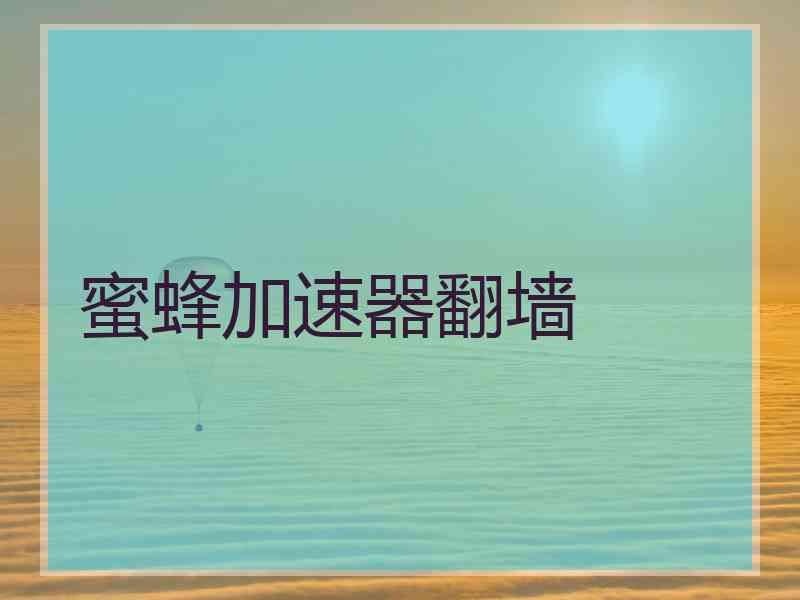蜜蜂加速器翻墙
