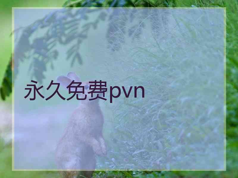 永久免费pvn
