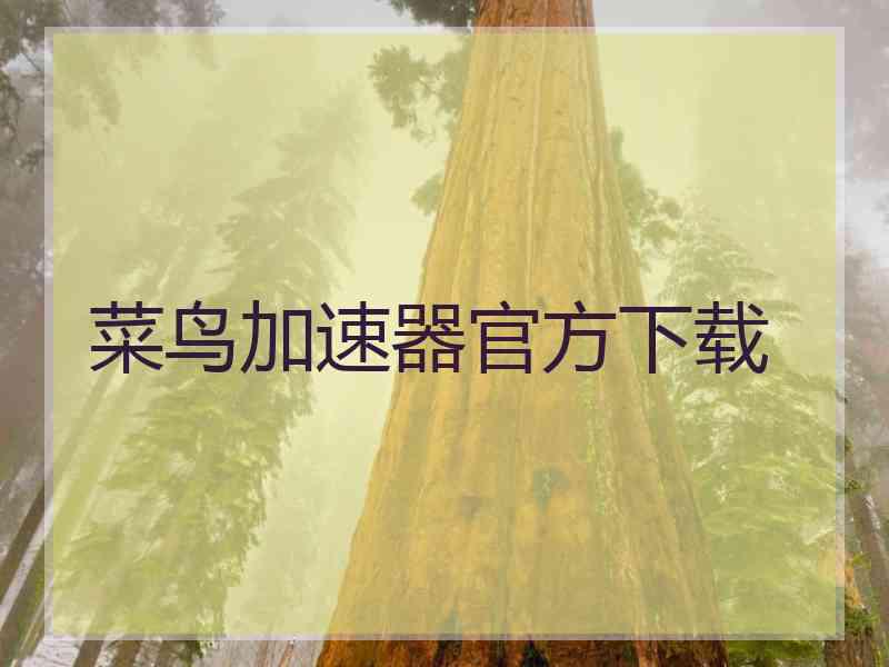 菜鸟加速器官方下载