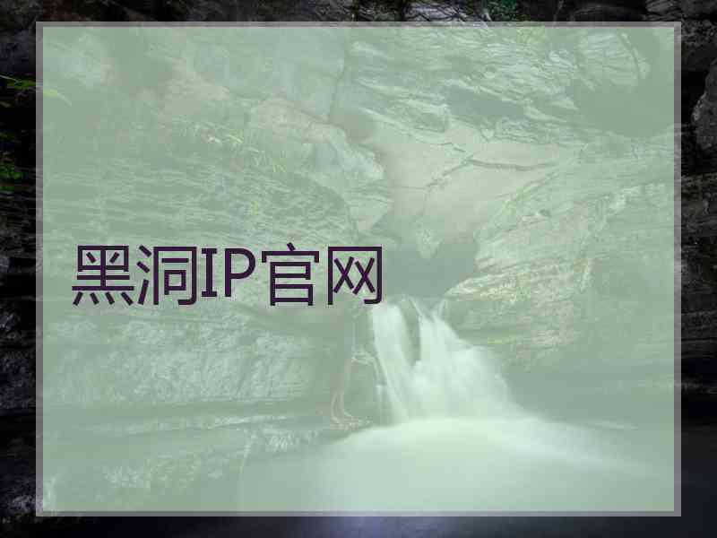 黑洞IP官网