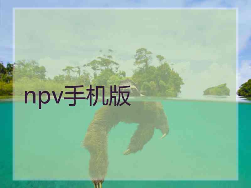 npv手机版