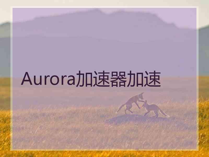Aurora加速器加速
