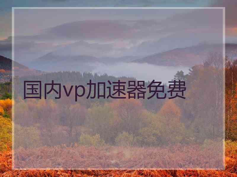 国内vp加速器免费