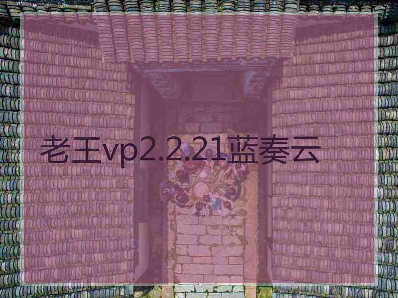 老王vp2.2.21蓝奏云