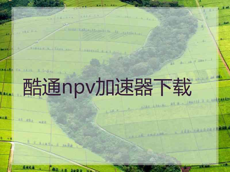 酷通npv加速器下载