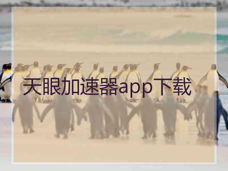 天眼加速器app下载