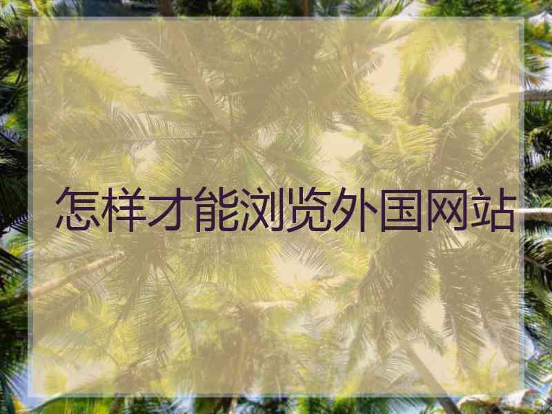 怎样才能浏览外国网站