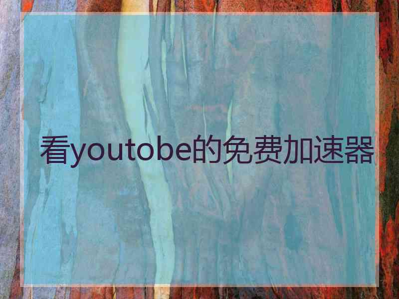 看youtobe的免费加速器
