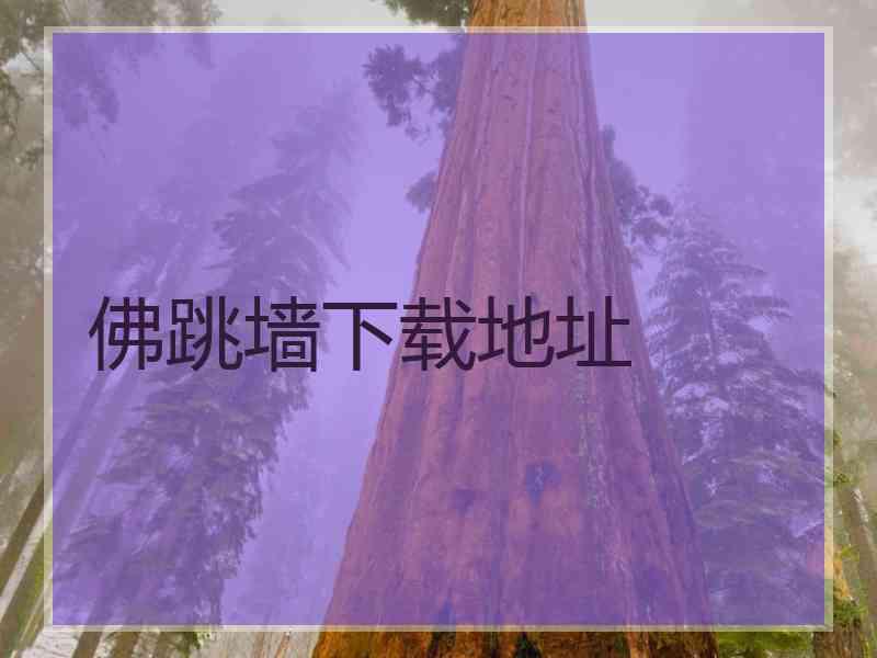 佛跳墙下载地址