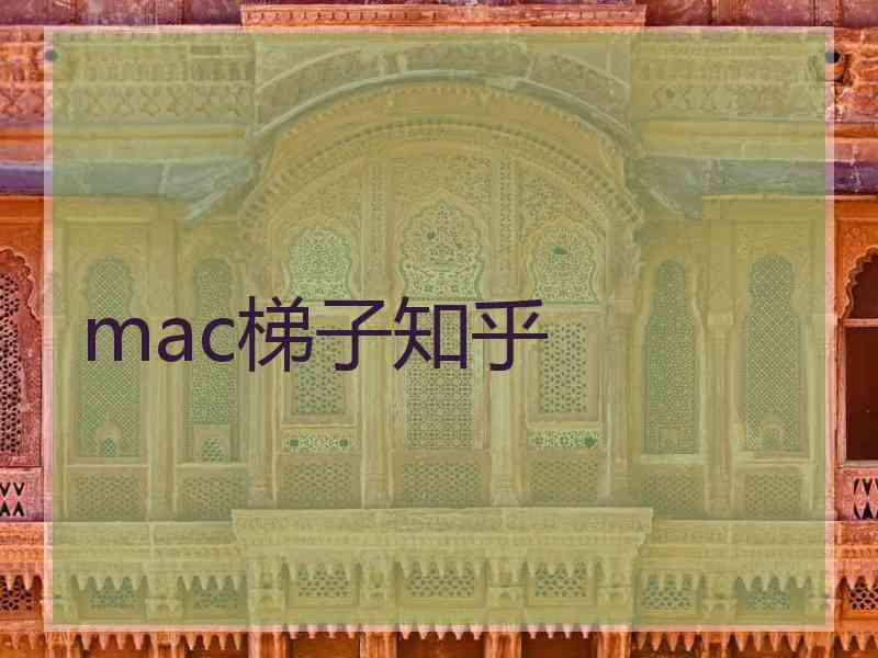 mac梯子知乎