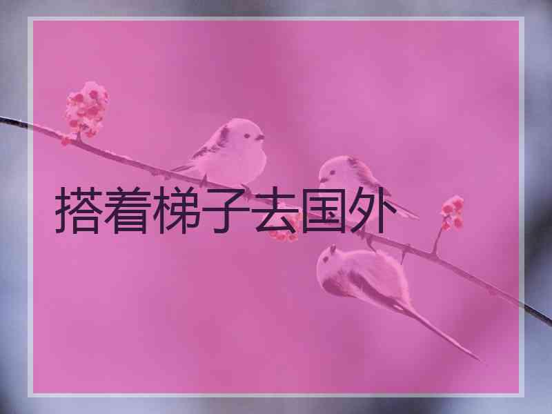 搭着梯子去国外