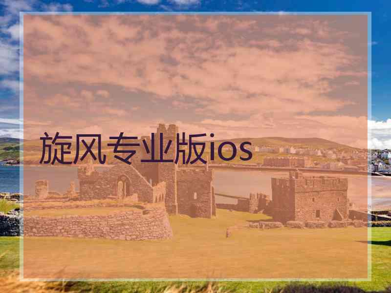 旋风专业版ios