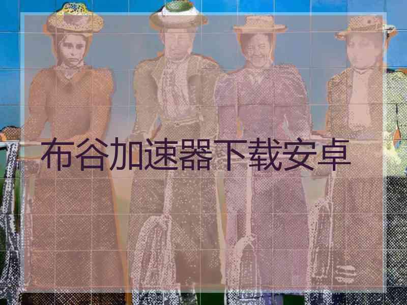 布谷加速器下载安卓