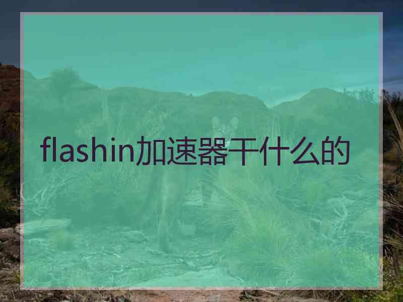 flashin加速器干什么的