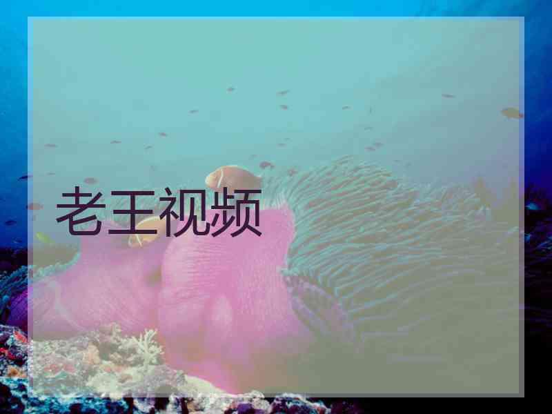 老王视频