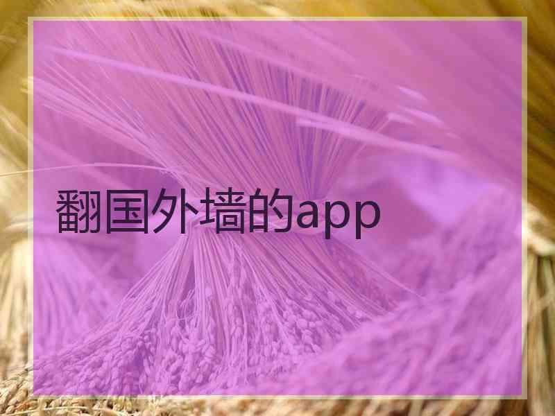 翻国外墙的app