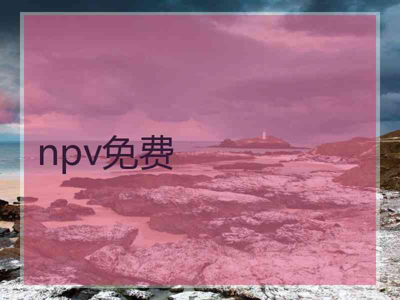npv免费
