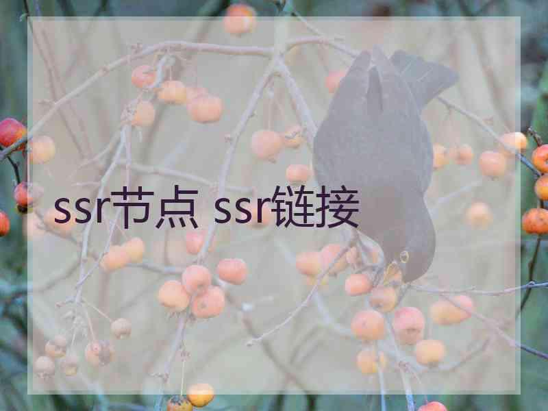 ssr节点 ssr链接