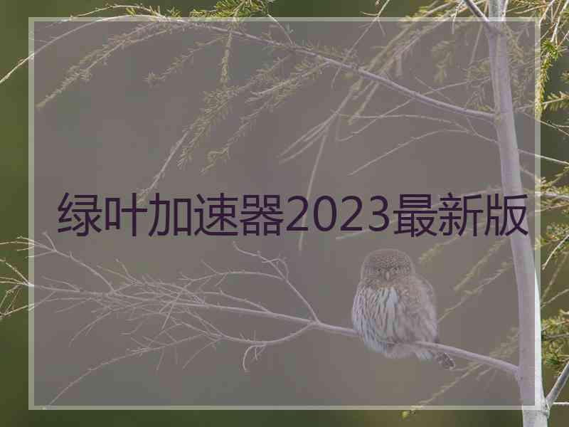 绿叶加速器2023最新版