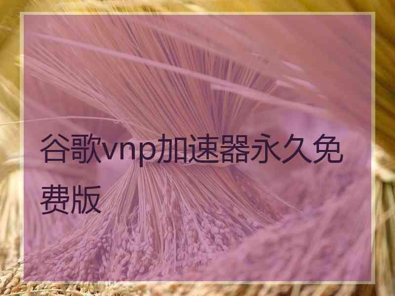 谷歌vnp加速器永久免费版