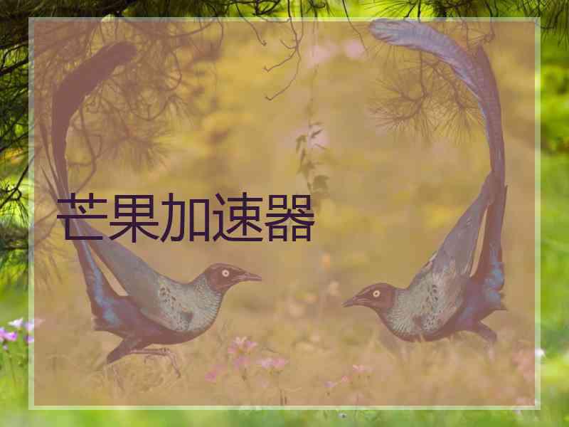 芒果加速器