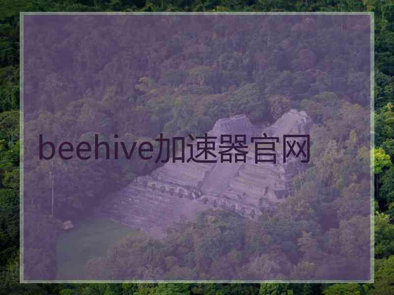 beehive加速器官网