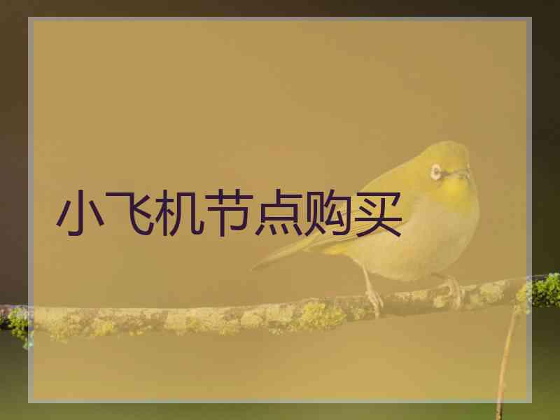 小飞机节点购买