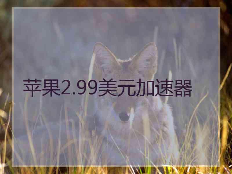 苹果2.99美元加速器