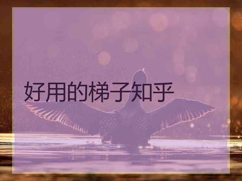 好用的梯子知乎