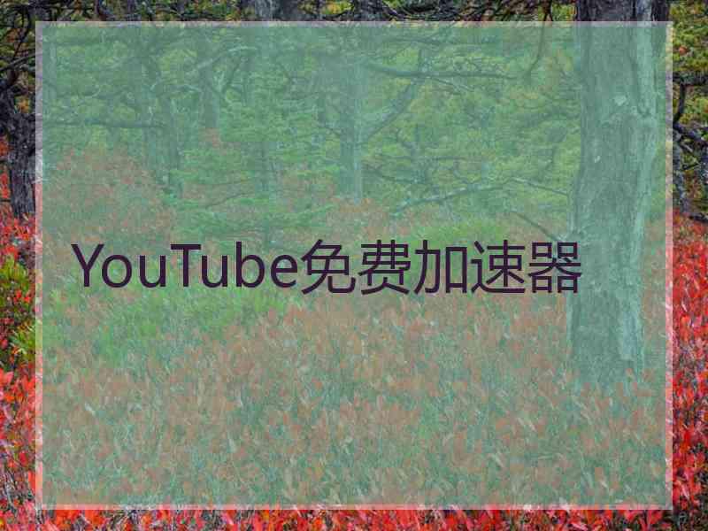 YouTube免费加速器