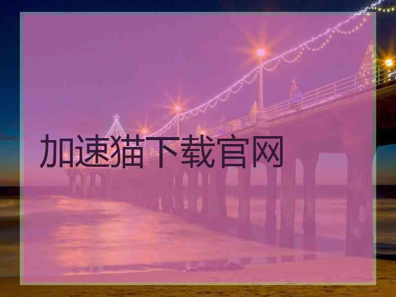 加速猫下载官网