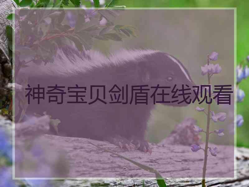 神奇宝贝剑盾在线观看