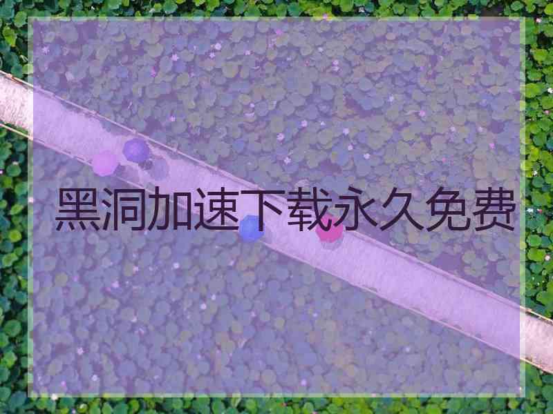 黑洞加速下载永久免费