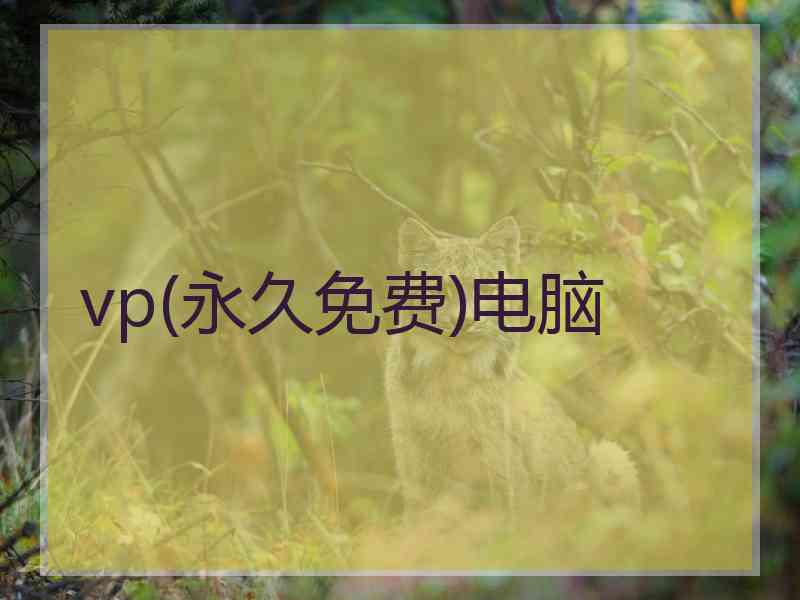 vp(永久免费)电脑
