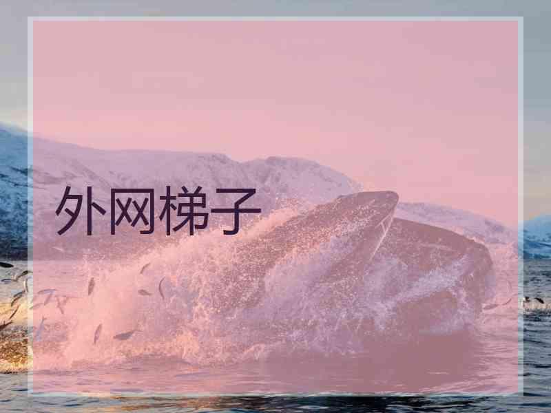 外网梯子