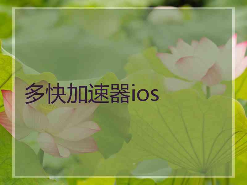 多快加速器ios