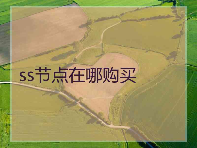 ss节点在哪购买