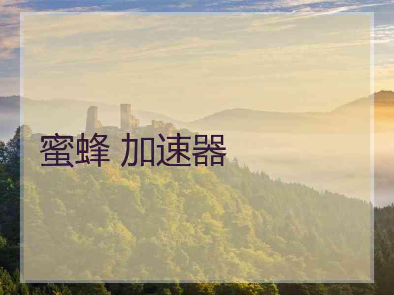 蜜蜂 加速器