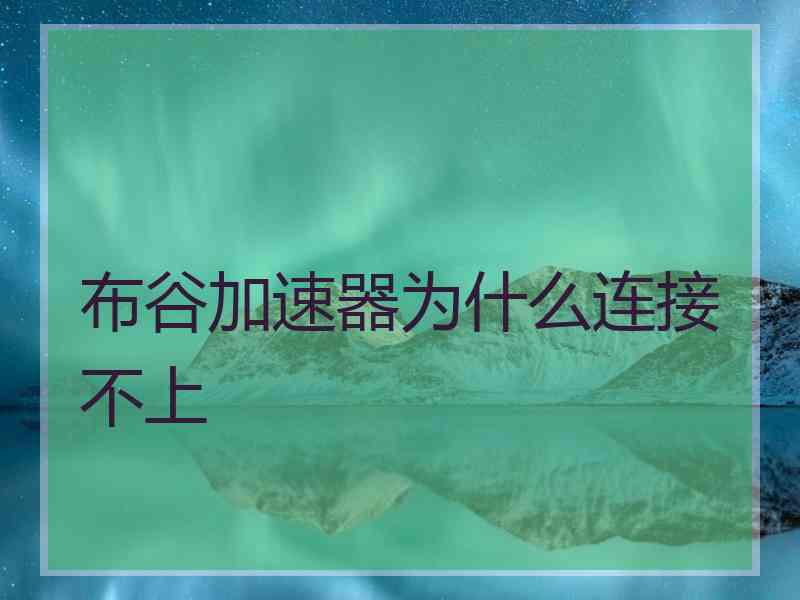 布谷加速器为什么连接不上