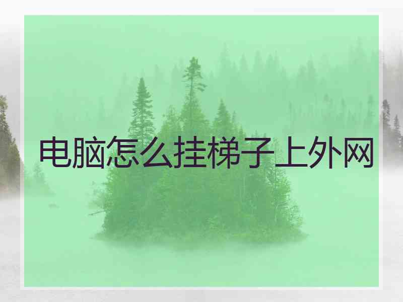电脑怎么挂梯子上外网