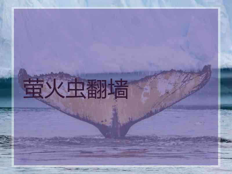 萤火虫翻墙