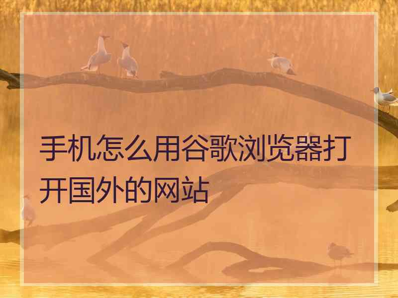 手机怎么用谷歌浏览器打开国外的网站