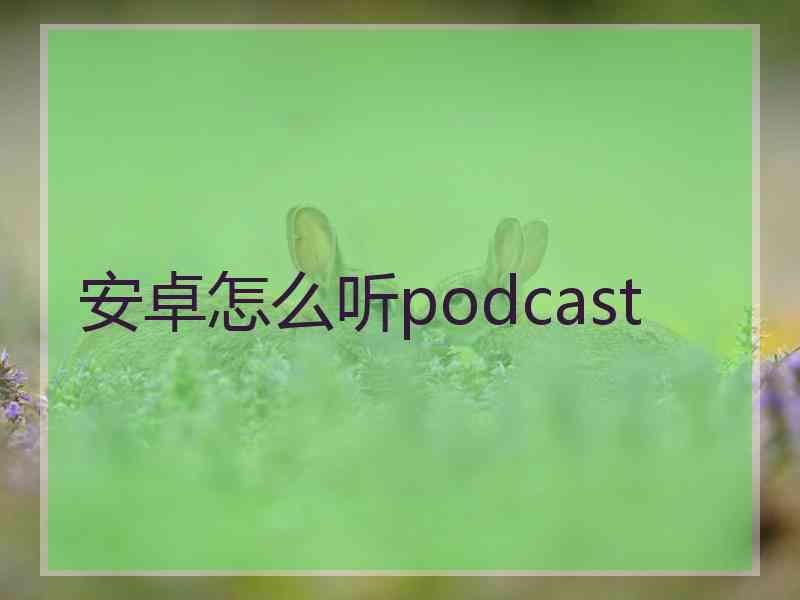 安卓怎么听podcast